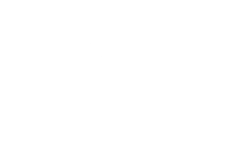 Flemings